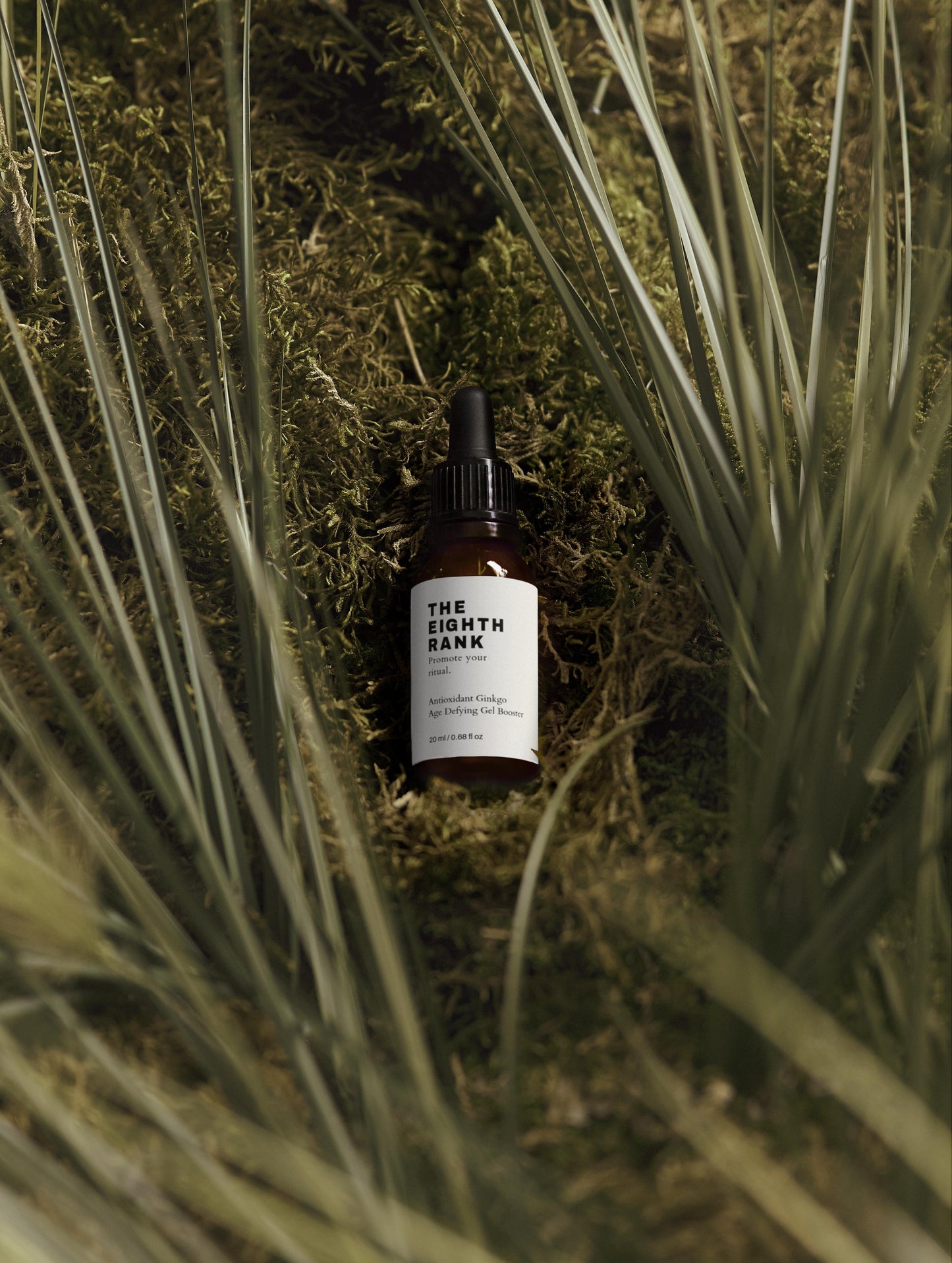 Antioxidant Age Defying Ginkgo Gel Booster